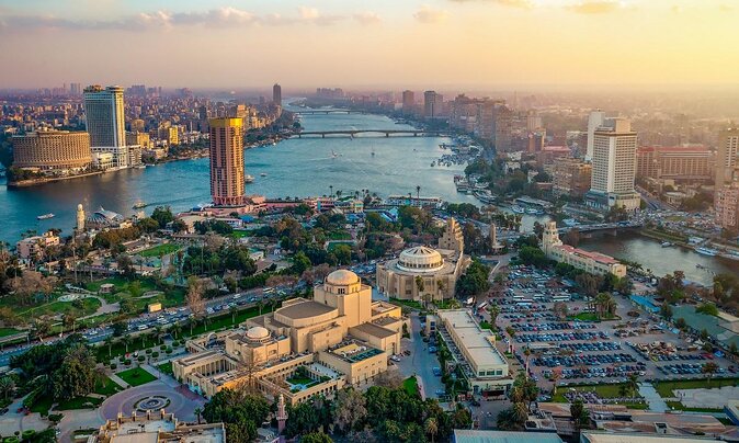 cormorant-cairo